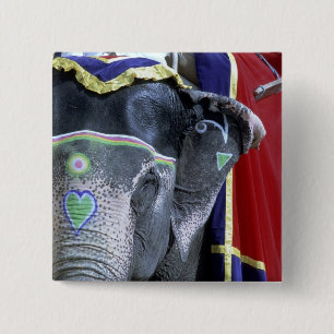 India, Rajasthan, Jaipur. Amber Fort. 15 Cm Square Badge