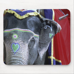 India, Rajasthan, Jaipur. Amber Fort. Mouse Mat