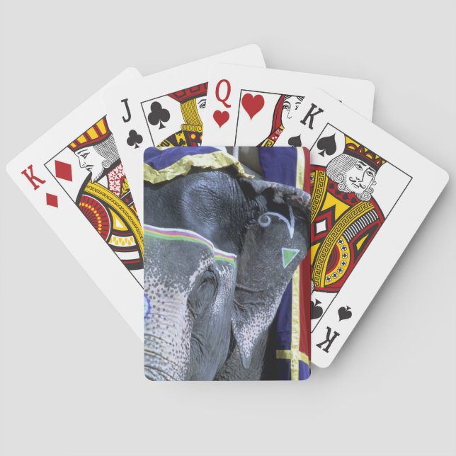 India, Rajasthan, Jaipur. Amber Fort. Playing Cards (Back)