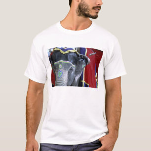 India, Rajasthan, Jaipur. Amber Fort. T-Shirt