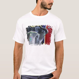 India, Rajasthan, Jaipur. Amber Fort. T-Shirt