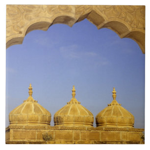 India, Rajasthan, Jaisalmer. Sandstone domes Tile