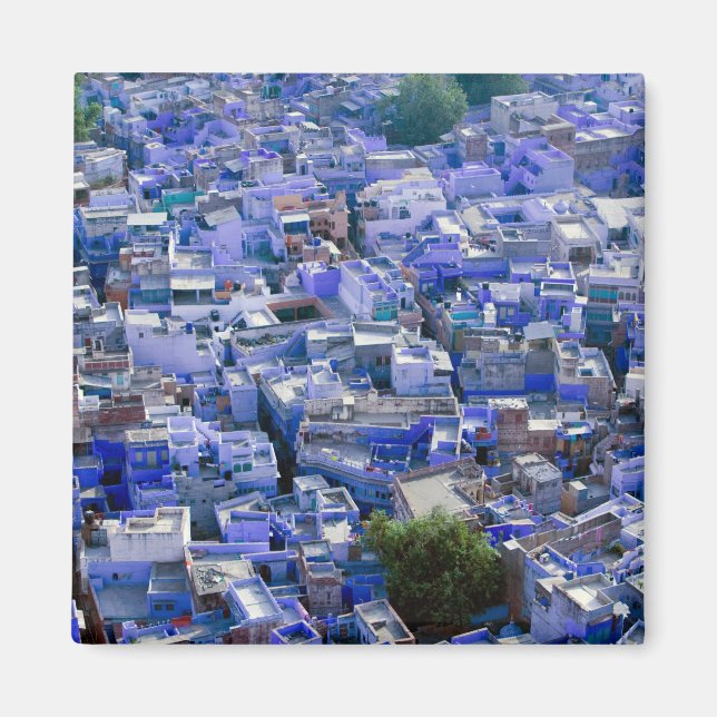 INDIA, Rajasthan, Jodhpur: Blue City of Jodhpur Magnet (Front)