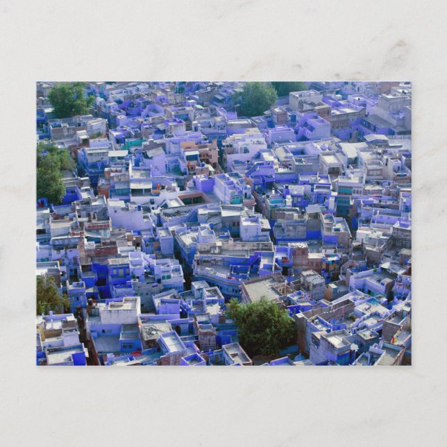 INDIA, Rajasthan, Jodhpur: Blue City of Jodhpur Postcard (Front)