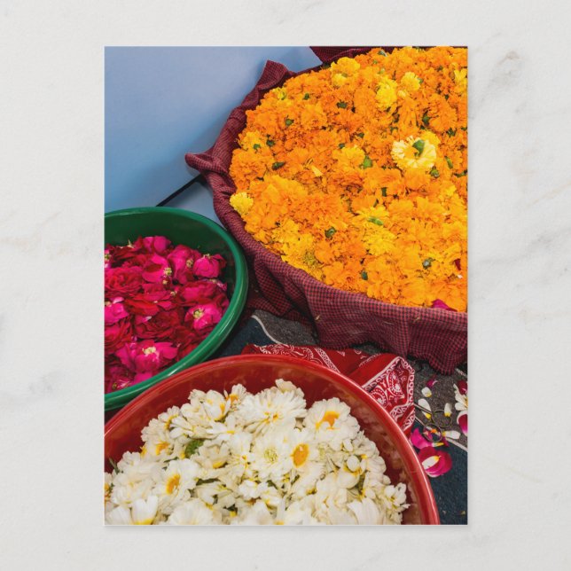 India, Rajasthan, Pipar Postcard (Front)