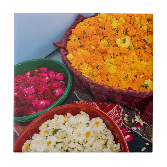 India, Rajasthan, Pipar Tile (Front)