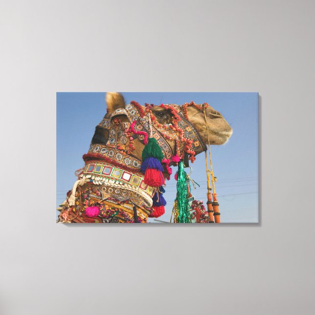 INDIA, Rajasthan, Pushkar: PUSHKAR CAMEL FAIR, Canvas Print (Front)