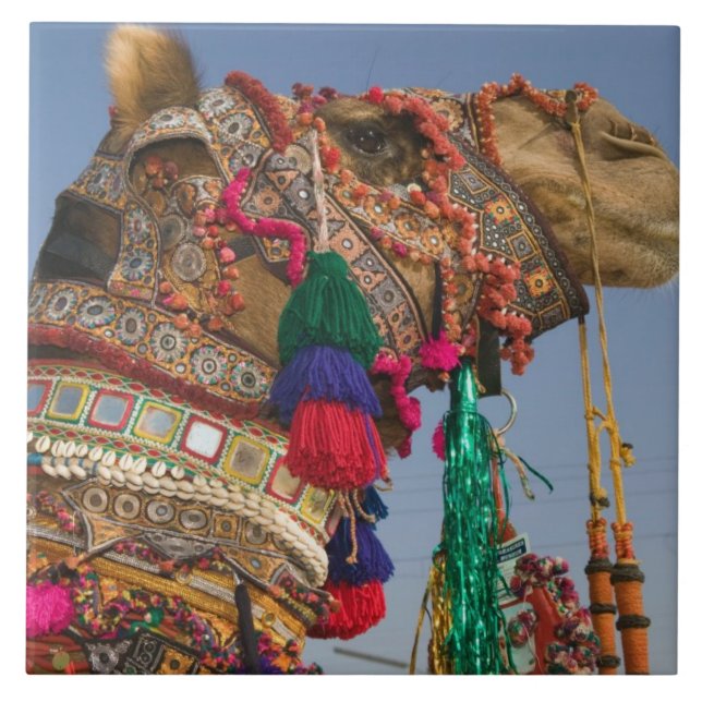 INDIA, Rajasthan, Pushkar: PUSHKAR CAMEL FAIR, Tile (Front)