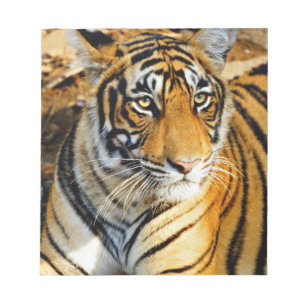 India, Sawai Madhopur, Ranthambore National Notepad