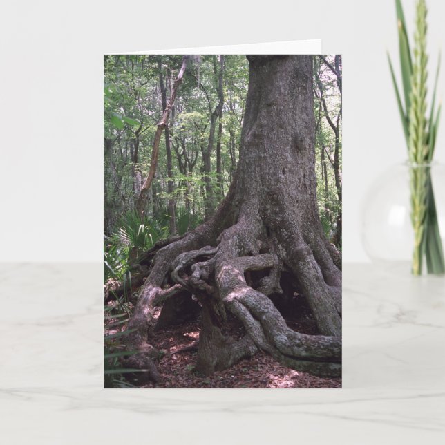 Indian Artefact Custom Louisiana Greeting Card (Front)