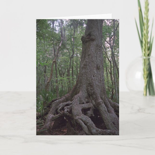 Indian Artefact Custom Louisiana Greeting Cards (Front)