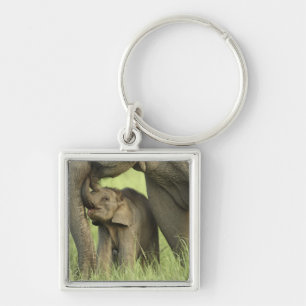 Indian / Asian Elephant and young one,Corbett 2 Key Ring