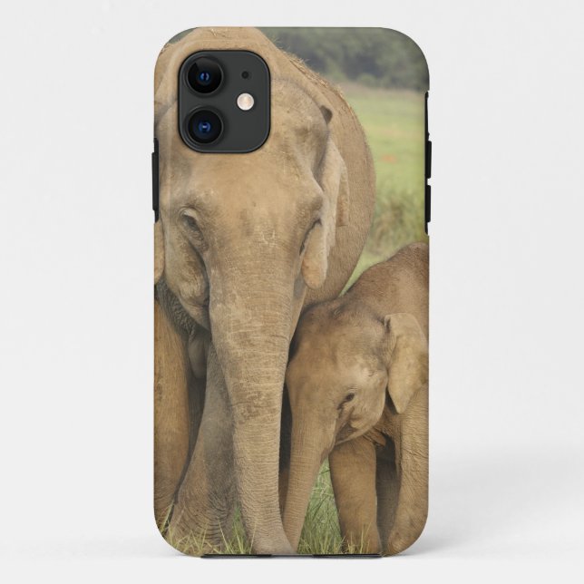 Indian / Asian Elephant and young one,Corbett Case-Mate iPhone Case (Back)