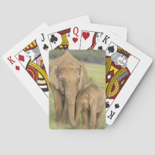 Indian / Asian Elephant and young one,Corbett Playing Cards