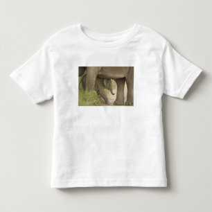 Indian / Asian Elephant and young one,Corbett Toddler T-Shirt