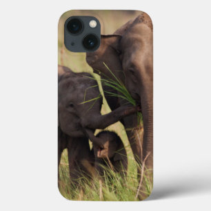 Indian Asian Elephant family in the savannah iPhone 13 Case