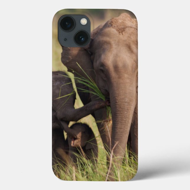 Indian Asian Elephant Family in the Savannah Case-Mate iPhone Case (Back)