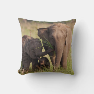 Indian Asian Elephant Family in the Savannah Cushion