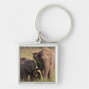 Indian Asian Elephant Family in the Savannah Key Ring