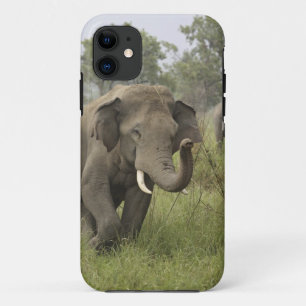 Indian Asian Elephant Greeting iPhone 11 Case