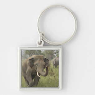 Indian Asian Elephant Greeting Key Ring