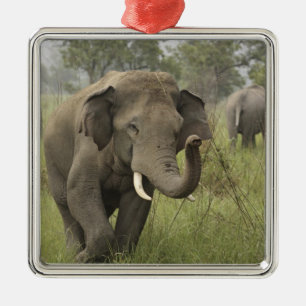 Indian Asian Elephant Greeting Metal Tree Decoration