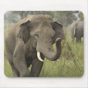 Indian Asian Elephant Greeting Mouse Mat