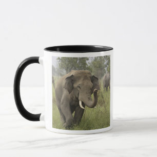 Indian Asian Elephant Greeting Mug