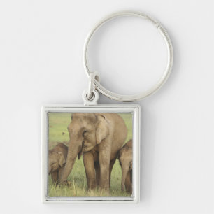Indian Asian Elephant & Young Ones Key Ring