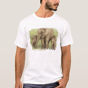 Indian Asian Elephant & Young Ones T-Shirt