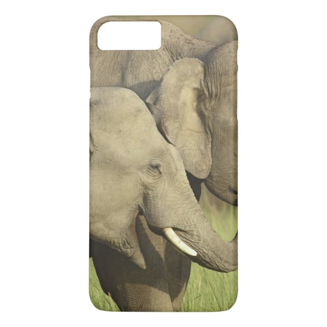 Indian Asian Elephants Case-Mate iPhone Case (Back)