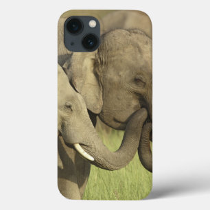Indian Asian Elephants iPhone 13 Case