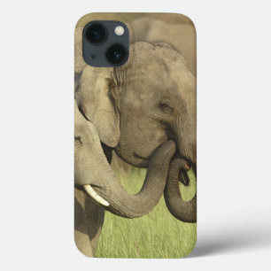 Indian Asian Elephants iPhone 13 Case