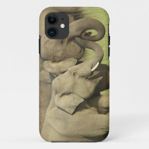 Indian Asian Elephants iPhone 11 Case