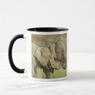 Indian Asian Elephants Mug