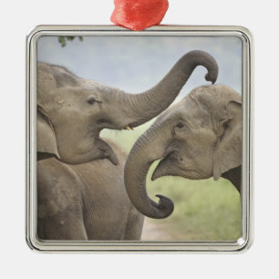 Indian Asian Elephants play Fighting Metal Tree Decoration