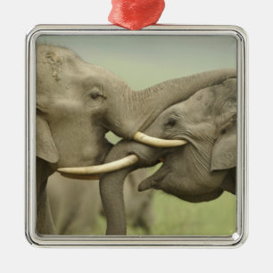 Indian Asian Elephants play Fighting Metal Tree Decoration