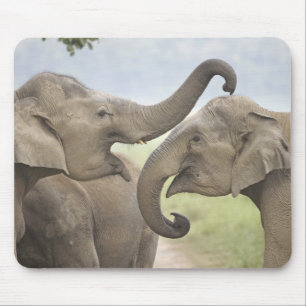Indian Asian Elephants play Fighting Mouse Mat