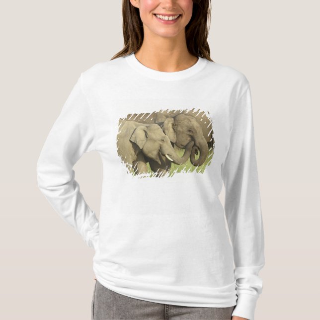 Indian Asian Elephants T-Shirt (Front)