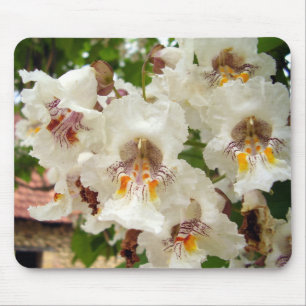 Indian Bean Tree Flowers Mouse Mat