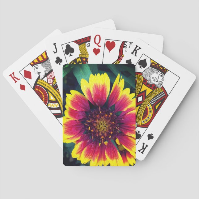 Indian Blanket Flower Playing Cards (Back)