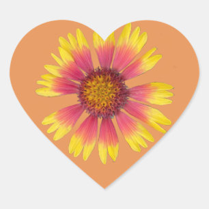 Indian Blanket Sticker