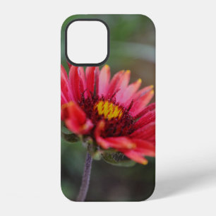 Indian Blanket Wildflower Art Phone Case