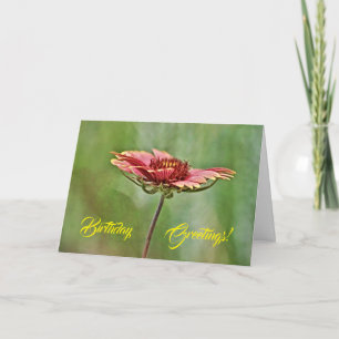 Indian Blanket Wildflower Birthday Card