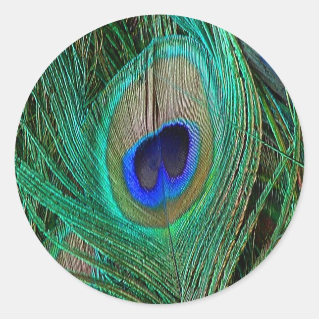 Indian Blue Peacock Feather Classic Round Sticker (Front)