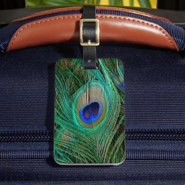 Indian Blue Peacock Feather Luggage Tag (Front Insitu 2)