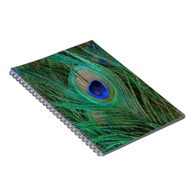 Indian Blue Peacock Feather Notebook (Right Side)