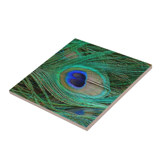 Indian Blue Peacock Feather Tile (Side)