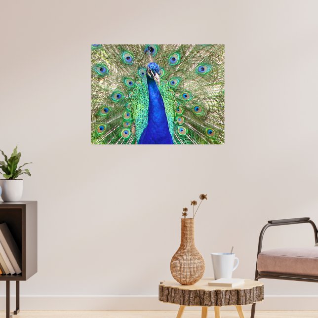 Indian Blue Peacock Poster (Living Room 3)