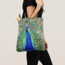 Indian Blue Peacock